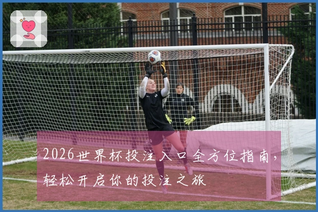 2026世界杯投注入口全方位指南，轻松开启你的投注之旅