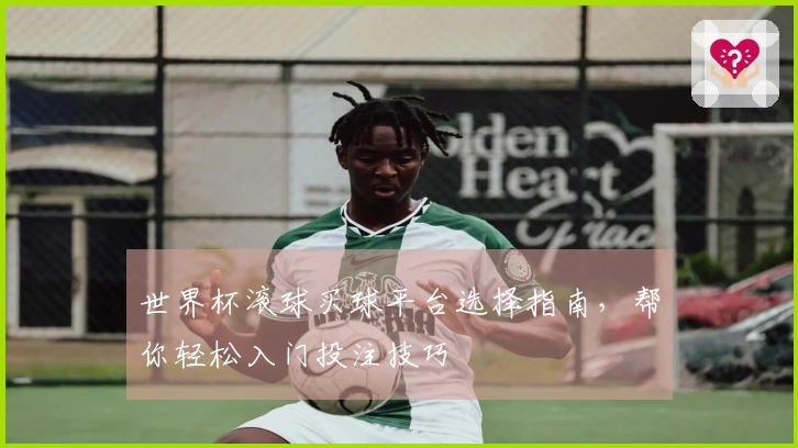 世界杯滚球买球平台选择指南，帮你轻松入门投注技巧