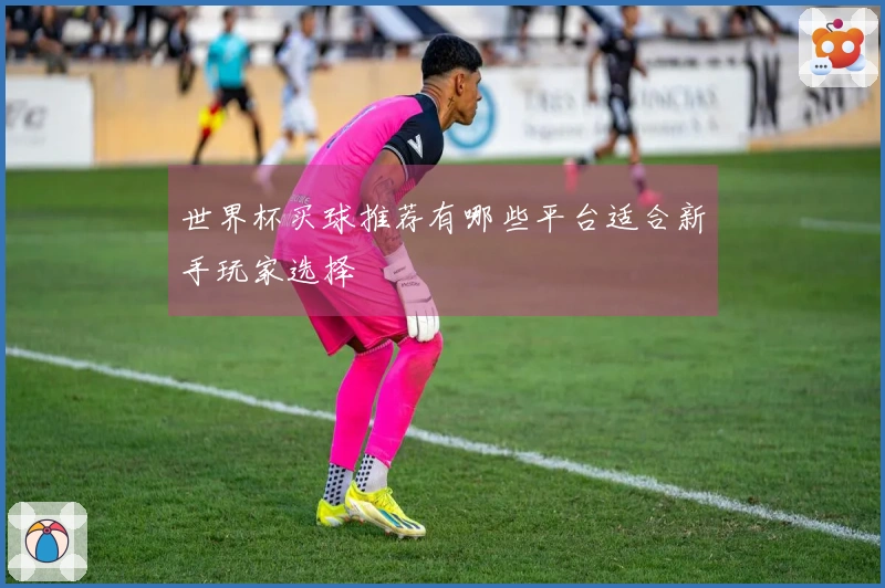 世界杯买球推荐有哪些平台适合新手玩家选择