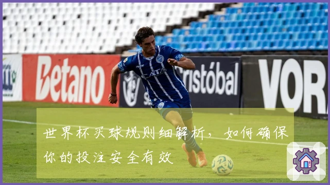 世界杯买球规则细解析，如何确保你的投注安全有效