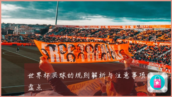 世界杯买球的规则解析与注意事项盘点