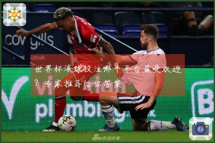 世界杯滚球投注哪个平台最受欢迎？专家推荐给你答案