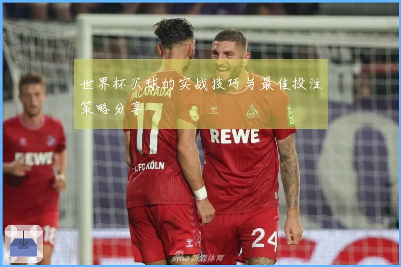 世界杯买球的实战技巧与最佳投注策略分享