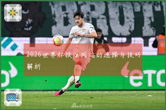 2026世界杯投注网站的选择与技巧解析