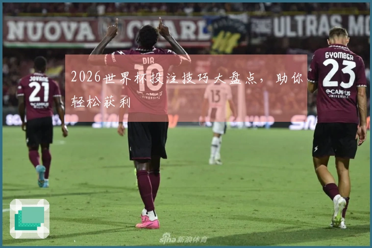 2026世界杯投注技巧大盘点，助你轻松获利